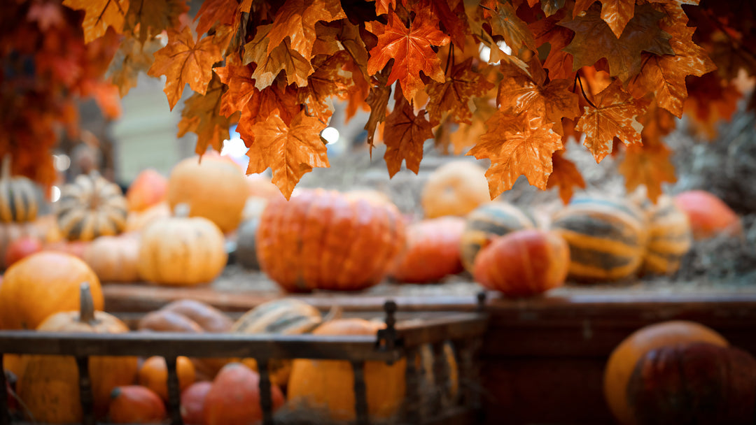 Fall Festival Ideas for Church