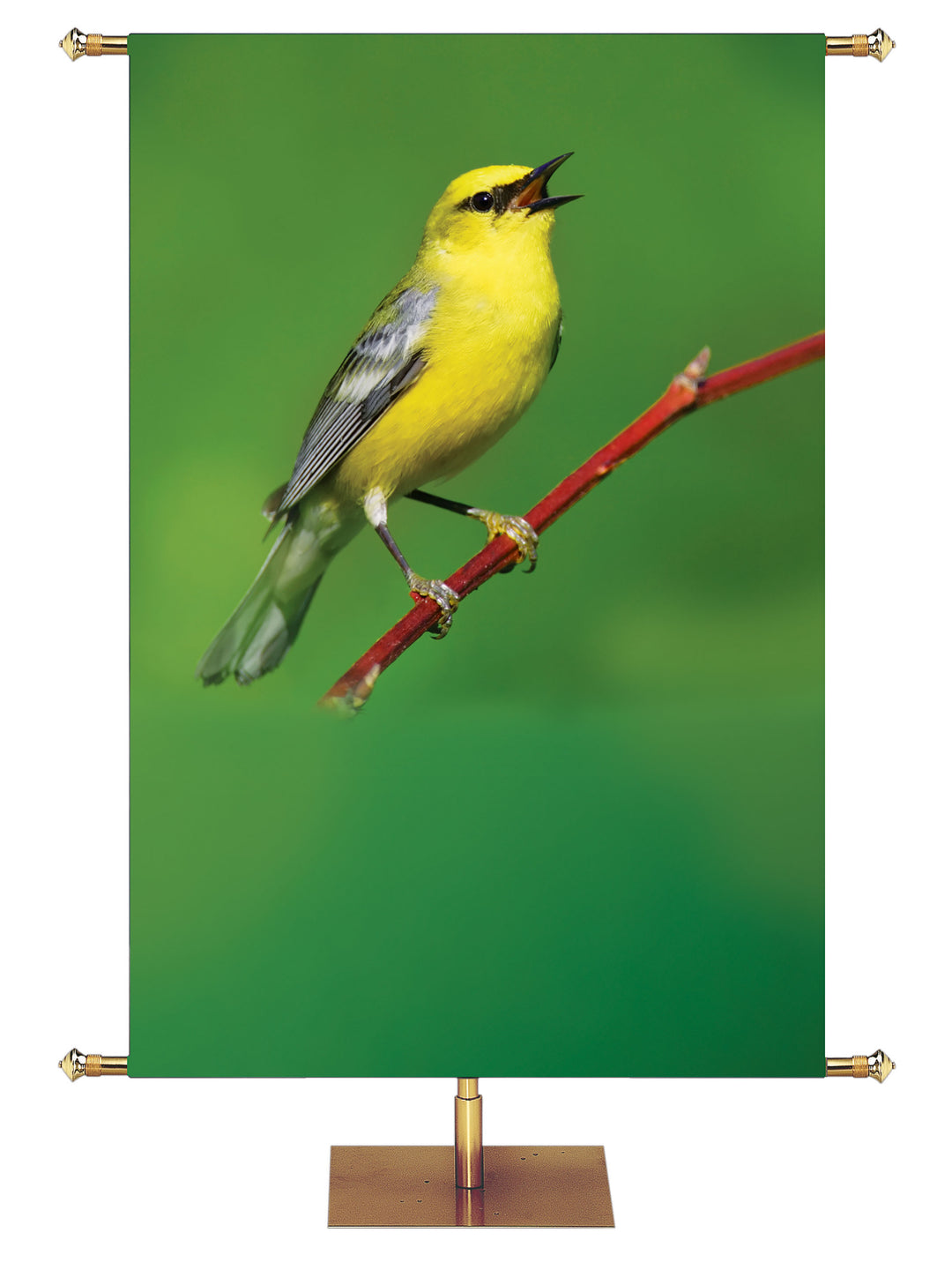 Bird Singing Custom Banner - Custom Year Round Banners - PraiseBanners