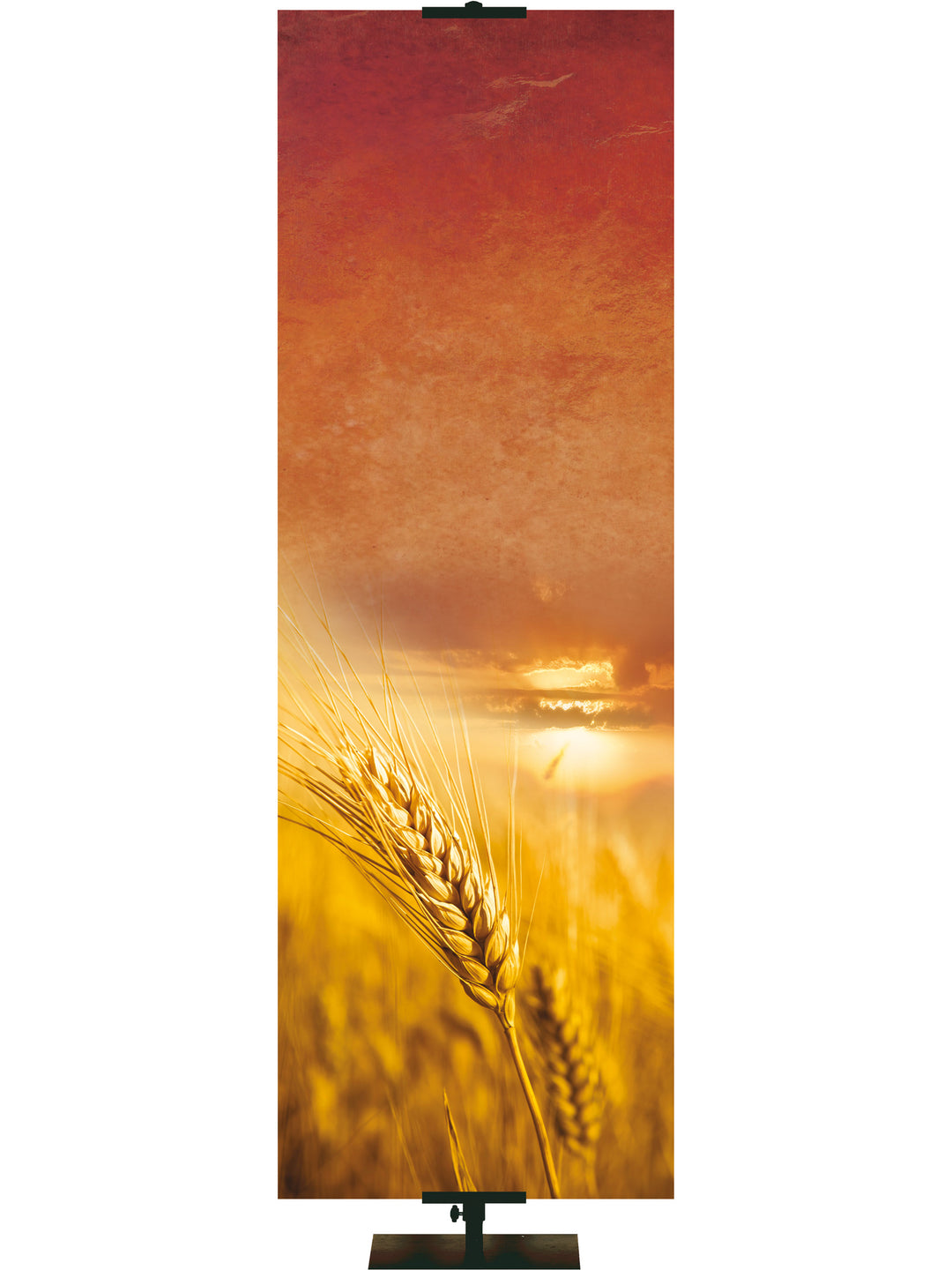 Custom Banner Creation Fall & Thanksgiving Let us Rejoice - Custom Fall Banners - PraiseBanners