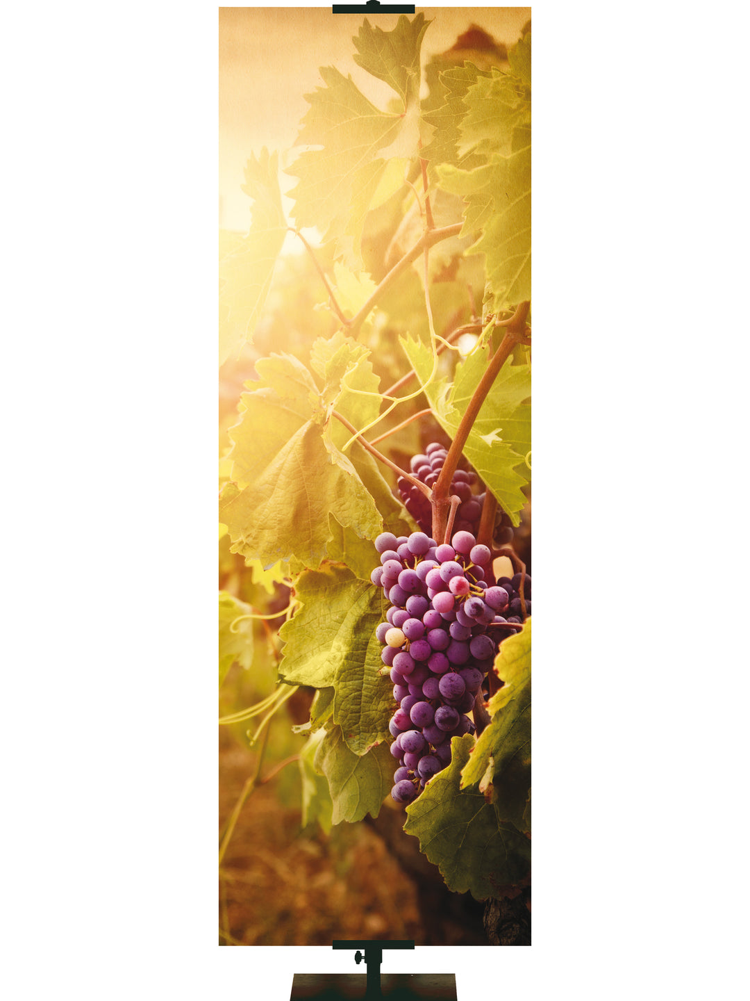 Custom Banner The Fruit of the Spirit Grapes - Custom Year Round Banners - PraiseBanners