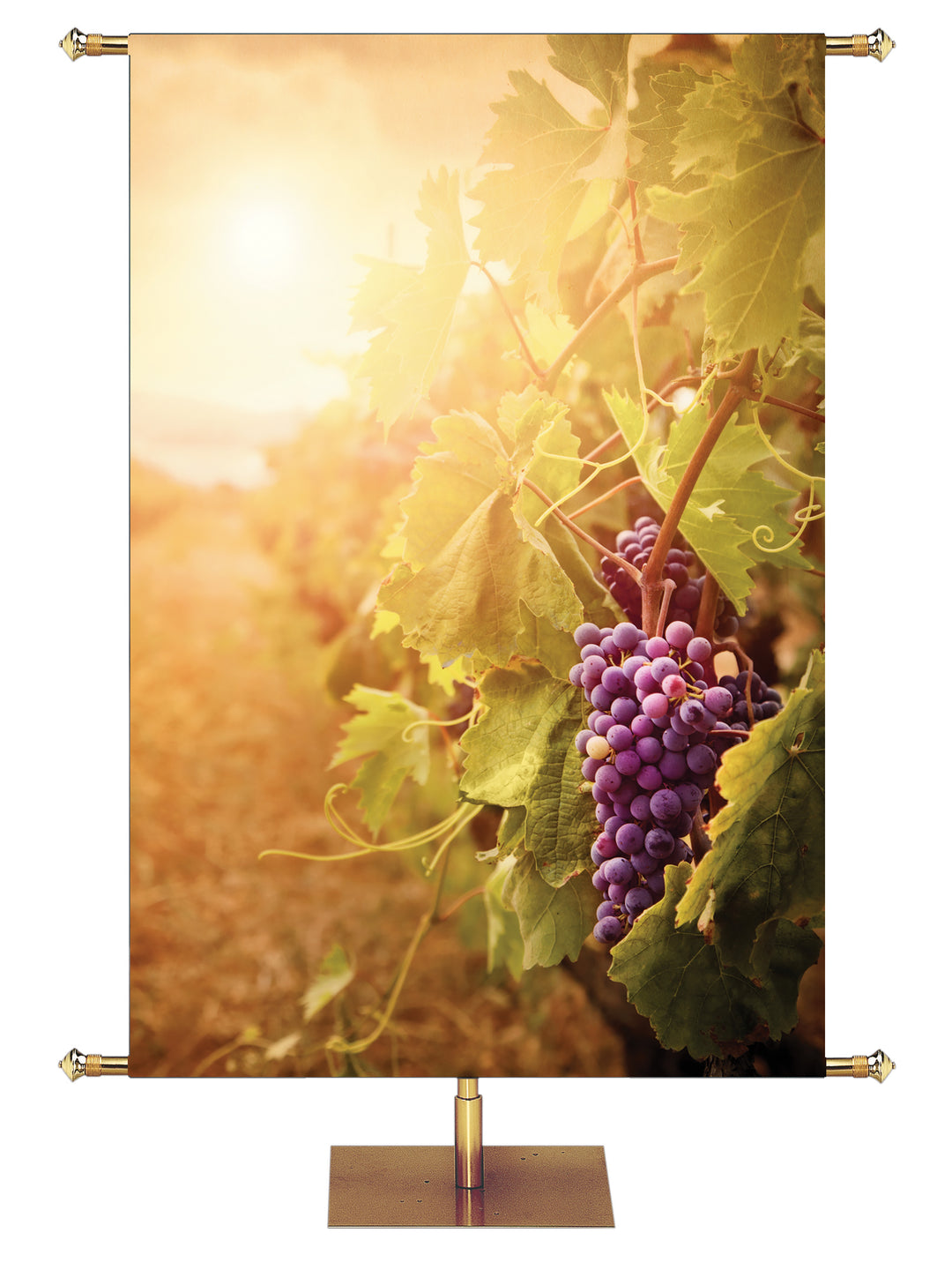 Custom Banner The Fruit of the Spirit Grapes - Custom Year Round Banners - PraiseBanners