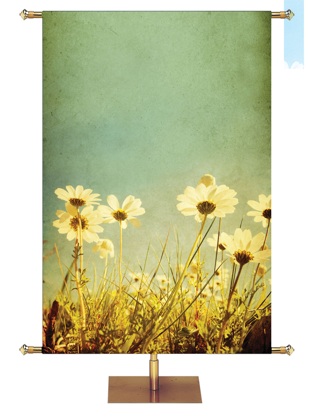 Daisies Custom Banner - Custom Easter Banners - PraiseBanners