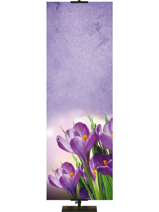 Custom Banner Renewal in Spring Be Transformed