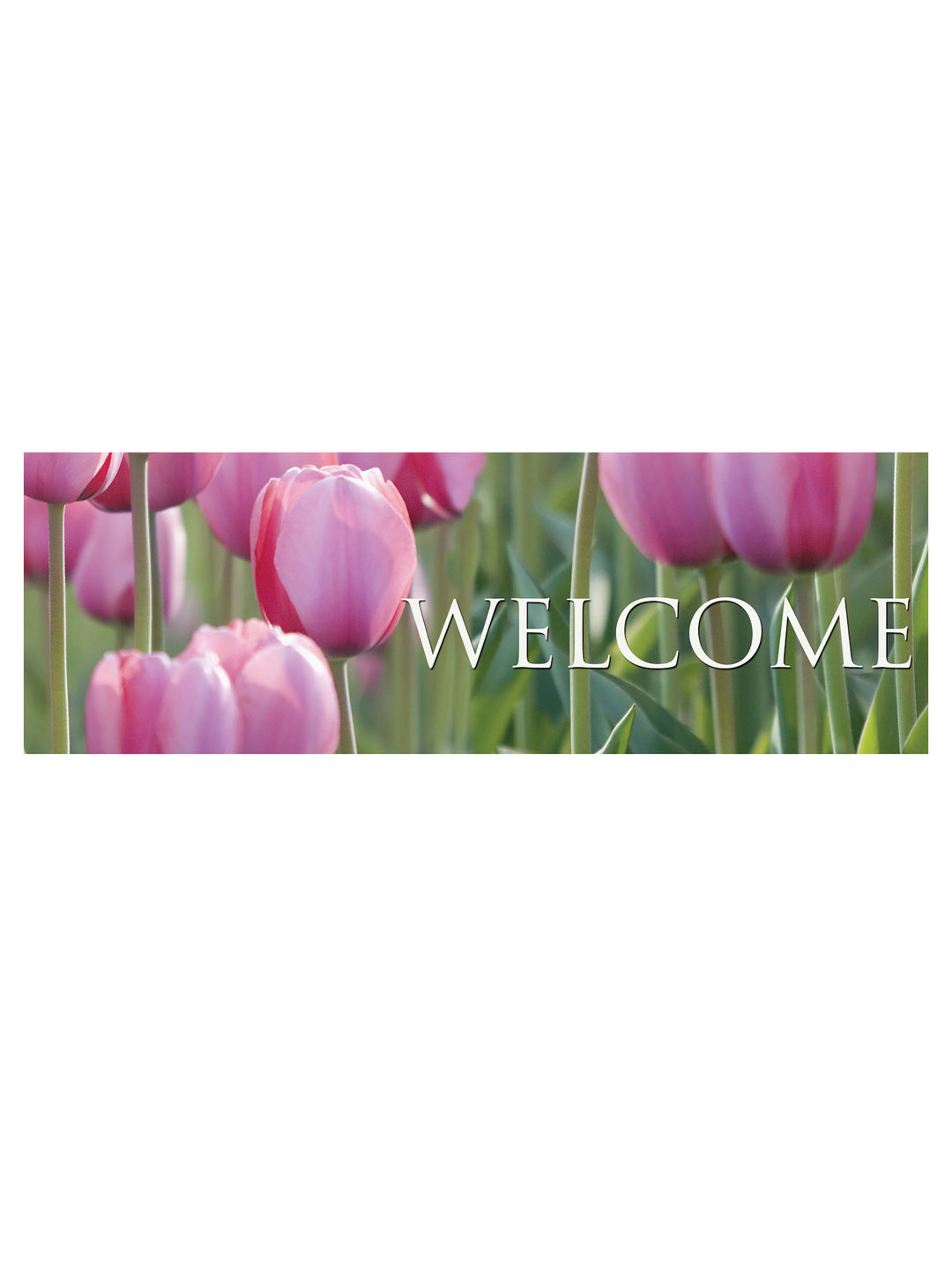 Banner de bienvenida de stock Tulipanes de primavera